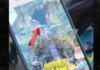 ΗΠΑ: 13χρονος εκτοξεύτηκε από παιχνίδι στη Disneyland και έπεσε από ύψος 15 μέτρων