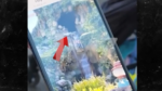 ΗΠΑ: 13χρονος εκτοξεύτηκε από παιχνίδι στη Disneyland και έπεσε από ύψος 15 μέτρων