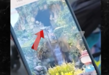 ΗΠΑ: 13χρονος εκτοξεύτηκε από παιχνίδι στη Disneyland και έπεσε από ύψος 15 μέτρων