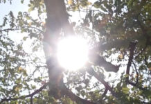 Σε κλοιό παρατεταμένου καύσωνα η Ευρώπη – Αυξάνονται οι νεκροί