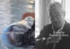 Κουτσούμπας στο Tik Tok: Τι είναι πιο δύσκολο να βρεις, λαγοκέφαλο σε παραλία ή σπίτι κάτω από 500 ευρώ;