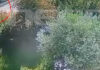 Κρήτη: Αυτή είναι η τελευταία διαδρομή της Σταυρούλας Λεβεντάκη πριν τη δολοφονία της – MEGA ντοκουμέντο