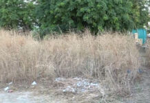Ακαθάριστα οικόπεδα: Λήγει σήμερα η προθεσμία – Τι πρέπει να κάνουν οι ιδιοκτήτες