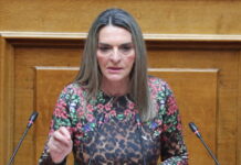 Πέρκα κατά Τσίπρα: Η ΕΛΑΣ δεν είναι συμπαράταξη, αλλά «ενός ανδρός αρχή»