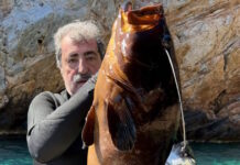 Μήνυμα Πολάκη σε Τσίπρα: «Εμείς δεν ψαρεύουμε σε θολά νερά» – Η φωτογραφία με ροφό 13,5 κιλών