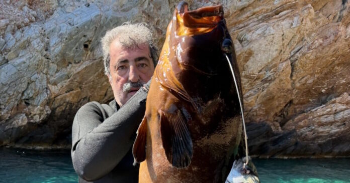 polakis-rofos-fb-1200x630.jpg