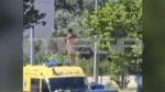 Ρόδος: Η στιγμή που άνδρας σκαρφαλώνει γυμνός σε ασθενοφόρο – MEGA ντοκουμέντο