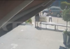 Βάρη: Άφησε τον σκύλο της με κλειστά παράθυρα στο ΙΧ για 4 ώρες & προσπάθησε να αποφύγει τη σύλληψη – Βίντεο ντοκουμέντο