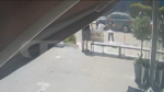 Βάρη: Άφησε τον σκύλο της με κλειστά παράθυρα στο ΙΧ για 4 ώρες & προσπάθησε να αποφύγει τη σύλληψη – Βίντεο ντοκουμέντο