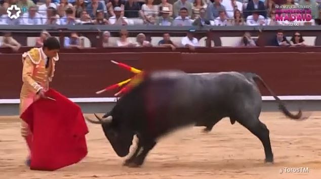 tauro.jpg