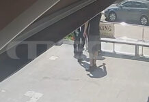 Βάρη: Συνελήφθη η γυναίκα που άφησε κλεισμένο τον σκύλο της στο αυτοκίνητο εν μέσω υψηλών θερμοκρασιών