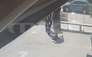 Βάρη: Συνελήφθη η γυναίκα που άφησε κλεισμένο τον σκύλο της στο αυτοκίνητο εν μέσω υψηλών θερμοκρασιών