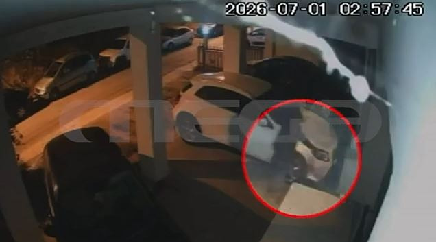 Capture-48.jpg