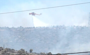 Φωτιά σε δασική περιοχή στην Παλλήνη – Ήχησε στο 112