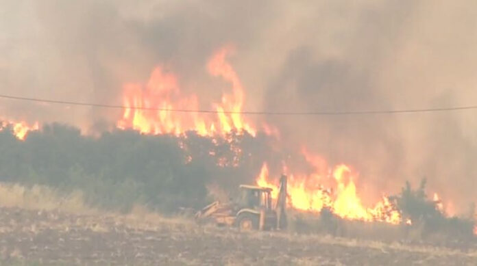 FTHIOTIDA.jpg