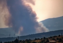 Μεγάλη φωτιά στην Οινόη – Εστάλη «112»
