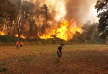 Πυρκαγιές πλήττουν Πορτογαλία, Ισπανία και Γαλλία εν μέσω ισχυρού καύσωνα