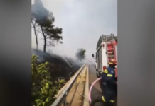 Πέντε συλλήψεις και πρόστιμα για εμπρησμούς – Έκαναν θερμές εργασίες