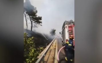 Πέντε συλλήψεις και πρόστιμα για εμπρησμούς – Έκαναν θερμές εργασίες
