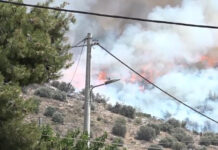 Μεσσηνία: Χειροπέδες σε τρία άτομα για εμπρησμούς – Η δράση & οι εκβιασμοί