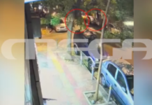 Σταύρος Γεωργίου: Ξυλοκόπησαν μέχρι θανάτου τον γνωστό ποινικολόγο – Το βίντεο που εξετάζουν οι Αρχές