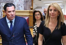 Καρυστιανού κατά Γεωργιάδη για βέτο στο ΝΑΤΟ και ποινικούς κώδικες