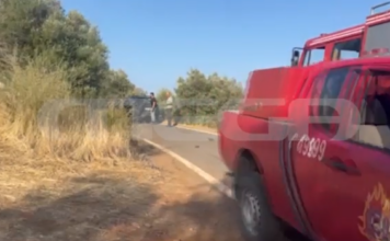 Γύθειο: Νεκρός ο υποδιοικητής της Πυροσβεστικής ενώ επιχειρούσε στην πυρκαγιά – Από παθολογικά αίτια επήλθε ο θάνατός του