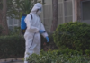 Γλυφάδα: Συναγερμός μετά τον εντοπισμό κρούσματος του ιού του Δυτικού Νείλου