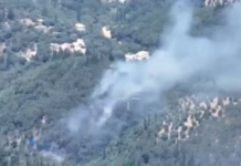 Κέρκυρα: Φωτιά σε αγροτοδασική περιοχή στον οικισμό Βασιλικά