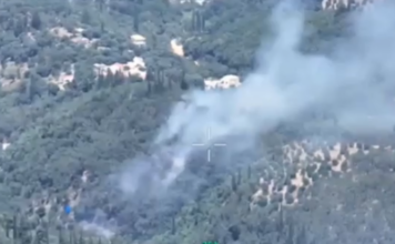 Κέρκυρα: Φωτιά σε αγροτοδασική περιοχή στον οικισμό Βασιλικά