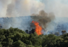 Φωτιά στην Οινόη: Ενισχύθηκαν οι επίγειες και εναέριες δυνάμεις – Από τσιγάρο φέρεται να ξεκίνησε η φωτιά