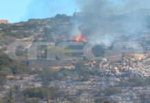 Σκληρή ολονύκτια «μάχη» με τις φλόγες έδωσαν οι πυροσβέστες στην Πάρο – Αλλεπάλληλα μηνύματα του 112 για εκκενώσεις