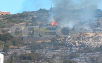 Σκληρή ολονύκτια «μάχη» με τις φλόγες έδωσαν οι πυροσβέστες στην Πάρο – Αλλεπάλληλα μηνύματα του 112 για εκκενώσεις