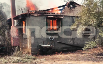 Αργολίδα: Σπίτια και περιουσίες στις φλόγες – Μάχη με τη φωτιά και τους θυελλώδεις ανέμους