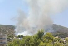 Φωτιά στα Σελήνια Σαλαμίνας – Επιχειρούν επίγειες και εναέριες δυνάμεις