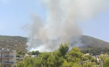 Φωτιά στα Σελήνια Σαλαμίνας – Επιχειρούν επίγειες και εναέριες δυνάμεις