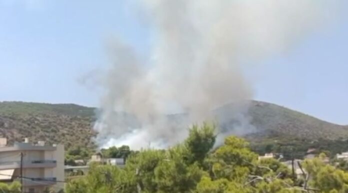salamina.jpg