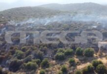 Ορατός ο κίνδυνος αναζωπυρώσεων σε Γύθειο και Λέσβο – Θρήνος για τον θάνατο του 27χρονου υποδιοικητή του Πυροσβεστικού Σώματος
