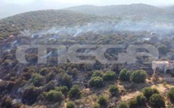 Ορατός ο κίνδυνος αναζωπυρώσεων σε Γύθειο και Λέσβο – Θρήνος για τον θάνατο του 27χρονου υποδιοικητή του Πυροσβεστικού Σώματος