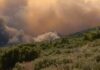 Στο νοσοκομείο δύο πυροσβέστες που επιχειρούσαν στα πύρινα μέτωπα
