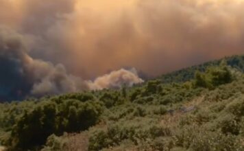 Στο νοσοκομείο δύο πυροσβέστες που επιχειρούσαν στα πύρινα μέτωπα