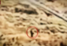 Κρήτη: Καρέ καρέ οι κινήσεις μαυροφορεμένου άνδρα λίγο πριν ξεσπάσει η πυρκαγιά στο νότιο Ρέθυμνο