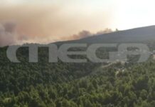 Εικόνες αποκάλυψης στο Πόρτο Γερμενό – Το πύρινο μέτωπο πλησιάζει απειλητικά την Ψάθα