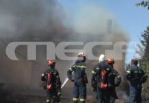Φωτιά στη Βοιωτία: Ανυπολόγιστες ζημιές από την πύρινη κόλαση