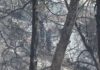 Σαλαμίνα: Τα σενάρια που εξετάζουν οι αρχές για τη φονική πυρκαγιά