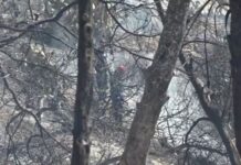 Σαλαμίνα: Τα σενάρια που εξετάζουν οι αρχές για τη φονική πυρκαγιά