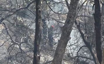 Σαλαμίνα: Τα σενάρια που εξετάζουν οι αρχές για τη φονική πυρκαγιά