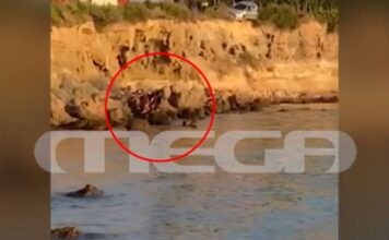 Βίντεο ντοκουμέντο από διάσωση νεαρού οδηγού που έπεσε σε γκρεμό 15 μέτρων