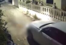 Κέρκυρα: Στον εισαγγελέα η οδηγός που πάτησε με το αυτοκίνητό της και σκότωσε σκύλο