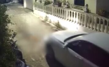 Κέρκυρα: Στον εισαγγελέα η οδηγός που πάτησε με το αυτοκίνητό της και σκότωσε σκύλο